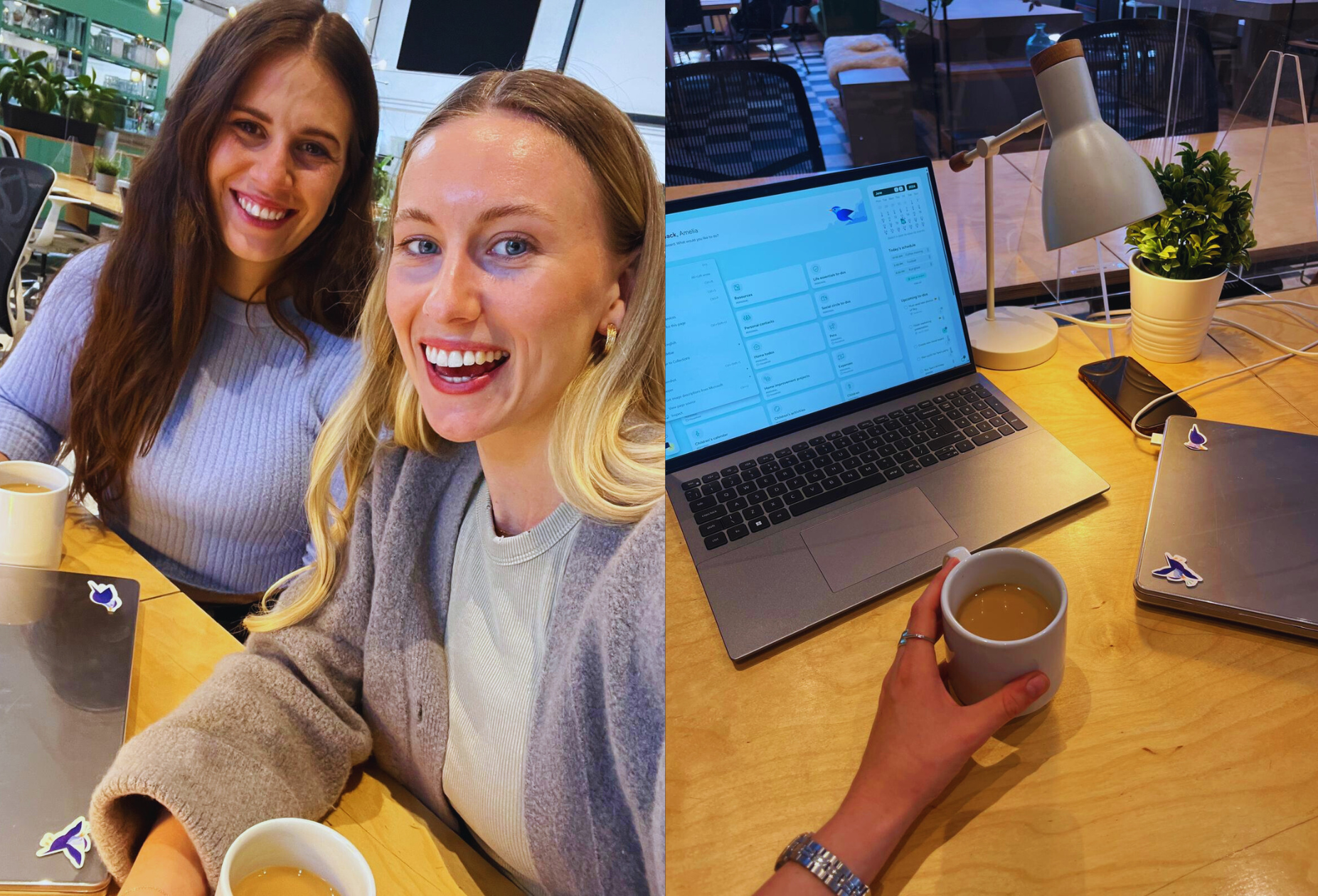 Left Photo: Two smiling women sitting at a wooden table in a well-lit, modern workspace. They are both holding white coffee mugs. One woman has long brown hair and is wearing a light purple sweater, while the other has long blonde hair and is wearing a light gray cardigan over a beige top. Laptops with bird stickers are on the table in front of them.

Right Photo: A close-up of a workspace with a laptop displaying the Hylark dashboard, used for the marketing team wiki. A hand is holding a coffee mug next to the laptop. The desk also has a lamp, a small potted plant, and another laptop with bird stickers. The background shows office furniture and a window.